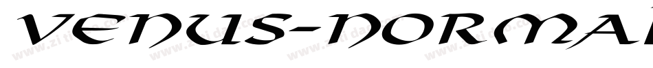 Venus-Normal Ex Bold Italic字体转换